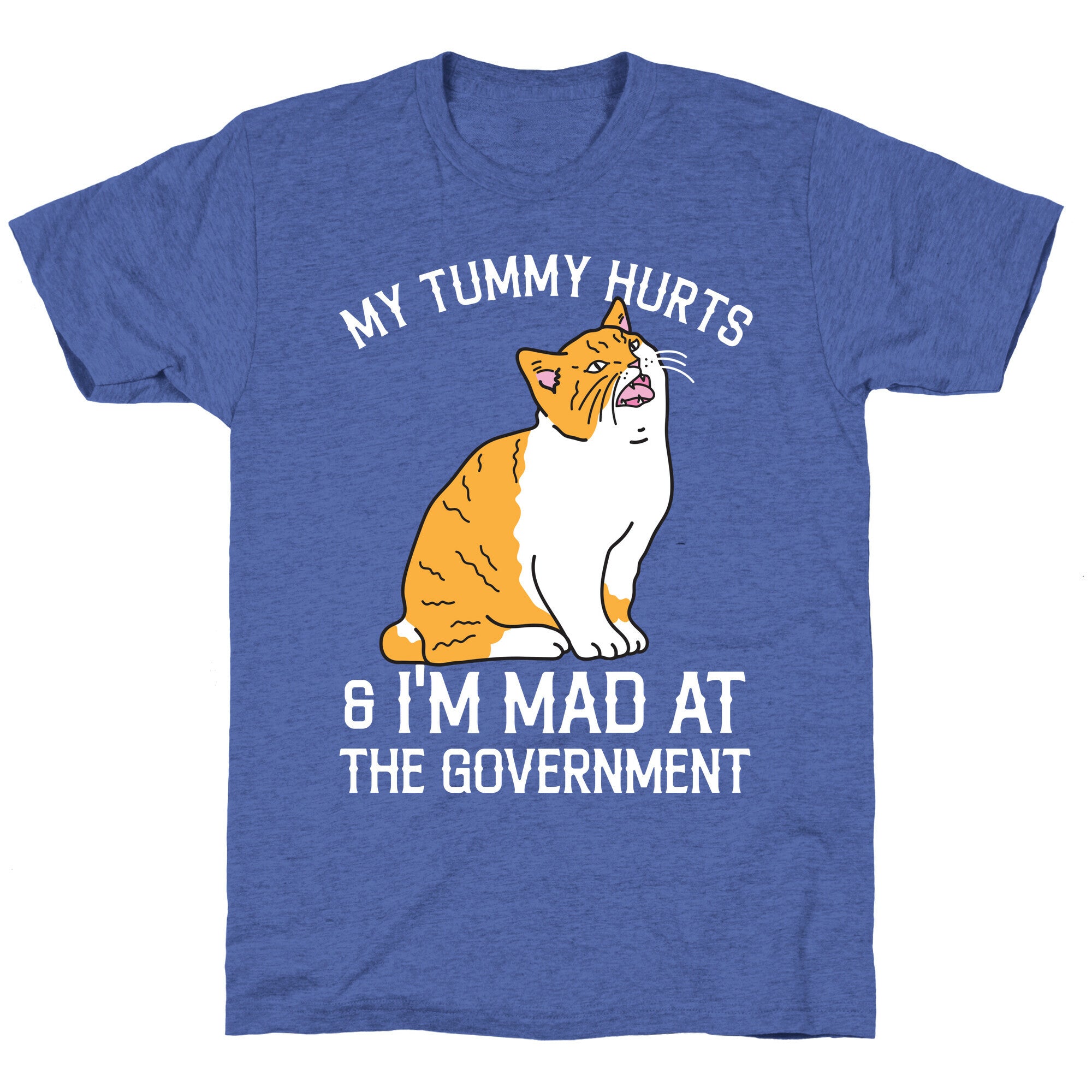 My Tummy Hurts & I'm Mad At The Government  Unisex Triblend Tee